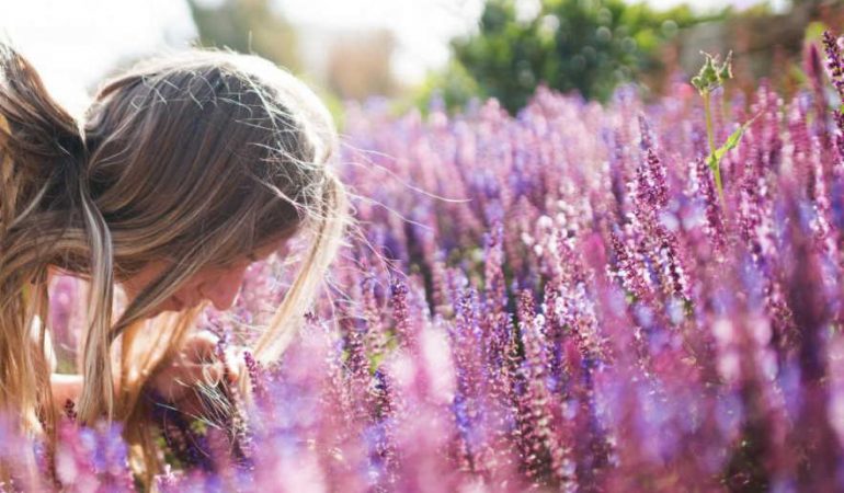 What is the best aromatherapy for anxiety?